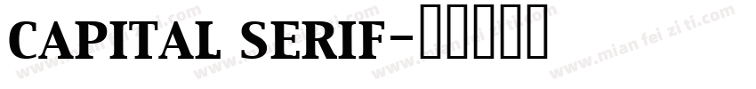 capital serif字体转换